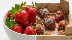 Prečo jahody, huby a cibuľu neumývať hneď po nákupe